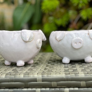Può includere: Due vasi in ceramica bianca a forma di maiale con piccole gambe e orecchie. I vasi sono su una superficie intrecciata.