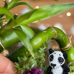 May include: A miniature crocheted panda bear with black and white details sits among green plants and moss. The panda is next to a green bamboo stalk. A hand holds a small purple flower.