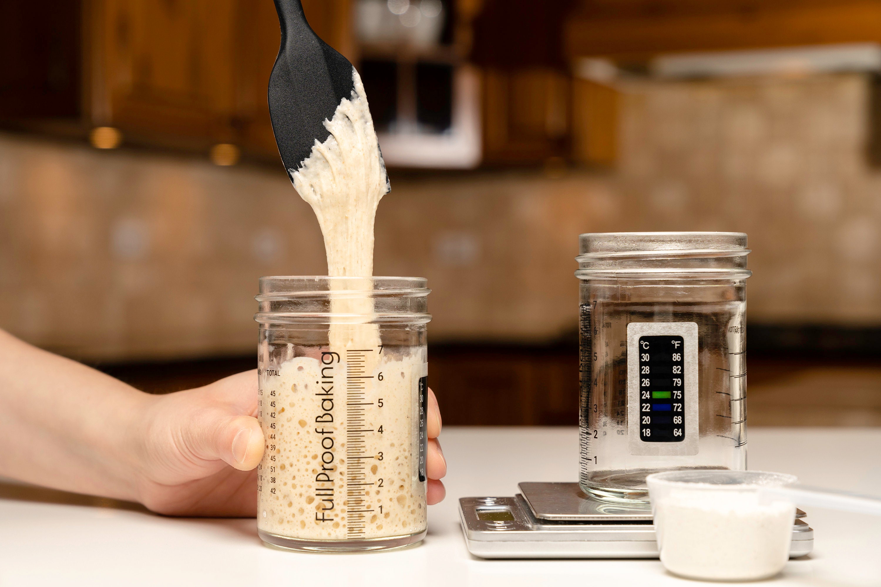 Full proof baking sourdough starter jar set etsy uk