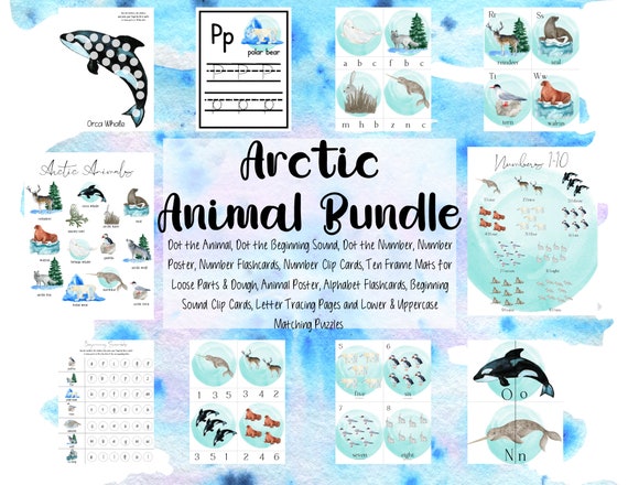 Arctic Homeschool Preschool Bundle Alphabet Number Cards