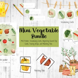Preschool Vegetable Printable Bundle, Homeschool Vegetable Printable, Vegetable Unit Study, Printable Activity, Vegetable Activity