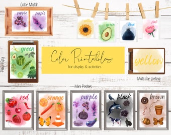 Color Decor Classroom, Printable Bundle, Color Posters, Preschool Color Matching, Preschool Printable Activity,  Color Sorting Cards
