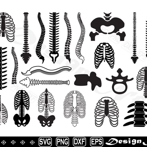 Anatomy svg, Anatomy Spine svg, Spine  svg, Cut file for silhouette, eps, dxf, png, clipart, Design