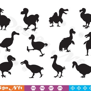 Dodo Bird svg, Bird svg, Dodo Bird Clipart, Cut Files for Silhouette, Dodo svg,  Vector, dxf, eps, png, Design