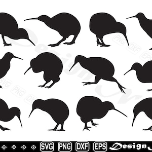 Kiwi Bird svg, Bird svg, Clipart, Cut Files for Silhouette, Vector, dxf, eps, png, Design