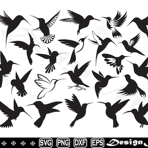 Hummingbird svg, Bird svg, Clipart, Cut Files for Silhouette, Vector, dxf, eps, png, Design