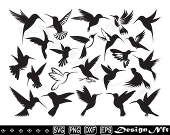Hummingbird svg, Bird svg, Clipart, Cut Files for Silhouette, Vector, dxf, eps, png, Design