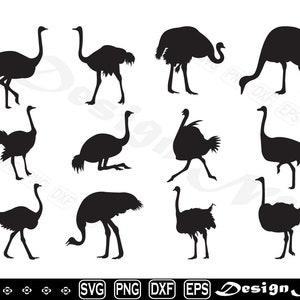 Ostrich svg, Cut file for silhouette, eps, dxf, png, clipart, Design