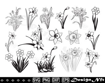 Daffodil Flower SVG, Narcissus Clipart, Cut File (Digital Download)