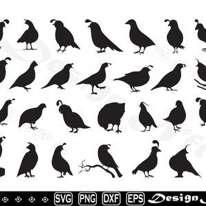 Quail svg, Clipart, Cut Files for Silhouette, Vector, dxf, eps, png, Design
