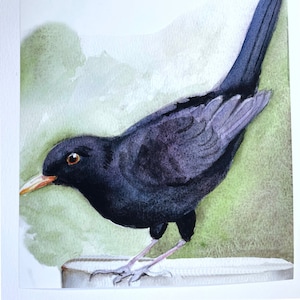Blackbird Stampa ad acquerello - animale - illustrazione - uccello - decorazioni per la casa - arte murale - regalo - Fauna selvatica