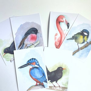 Set di cartoline per uccelli ad acquerello Confezione da 6 cartoline - Confezione da 6 cartoline - Cartoline d'arte naturalistica - Cartoline con stampa di uccelli - Bigliettino