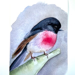 Rose Robin Stampa ad acquerello - animale - illustrazione - uccello - decorazioni per la casa - arte murale - regalo - Fauna selvatica