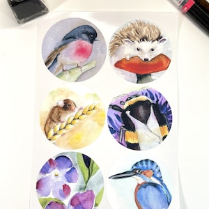 Aquarelle Wildlife sticker set 2 Vinyle