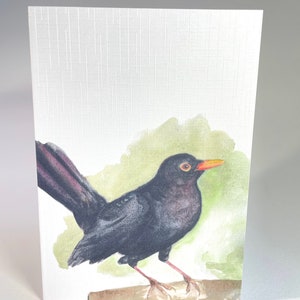 Lente aquarel mooie mannelijke Blackbird lege wenskaart - Gift Card - verjaardagskaart
