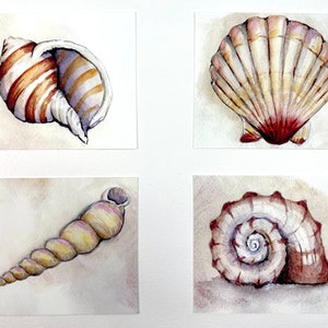 Mini Acquerello Sea Shell Stampe x 4- Mare - illustrazione - Marine - decorazioni per la casa - arte murale - regalo - Fauna selvatica