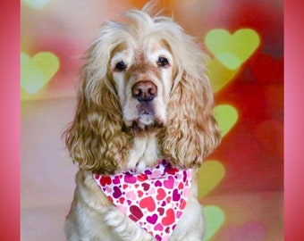 Love Hearts Dog Bandana in 3 Styles