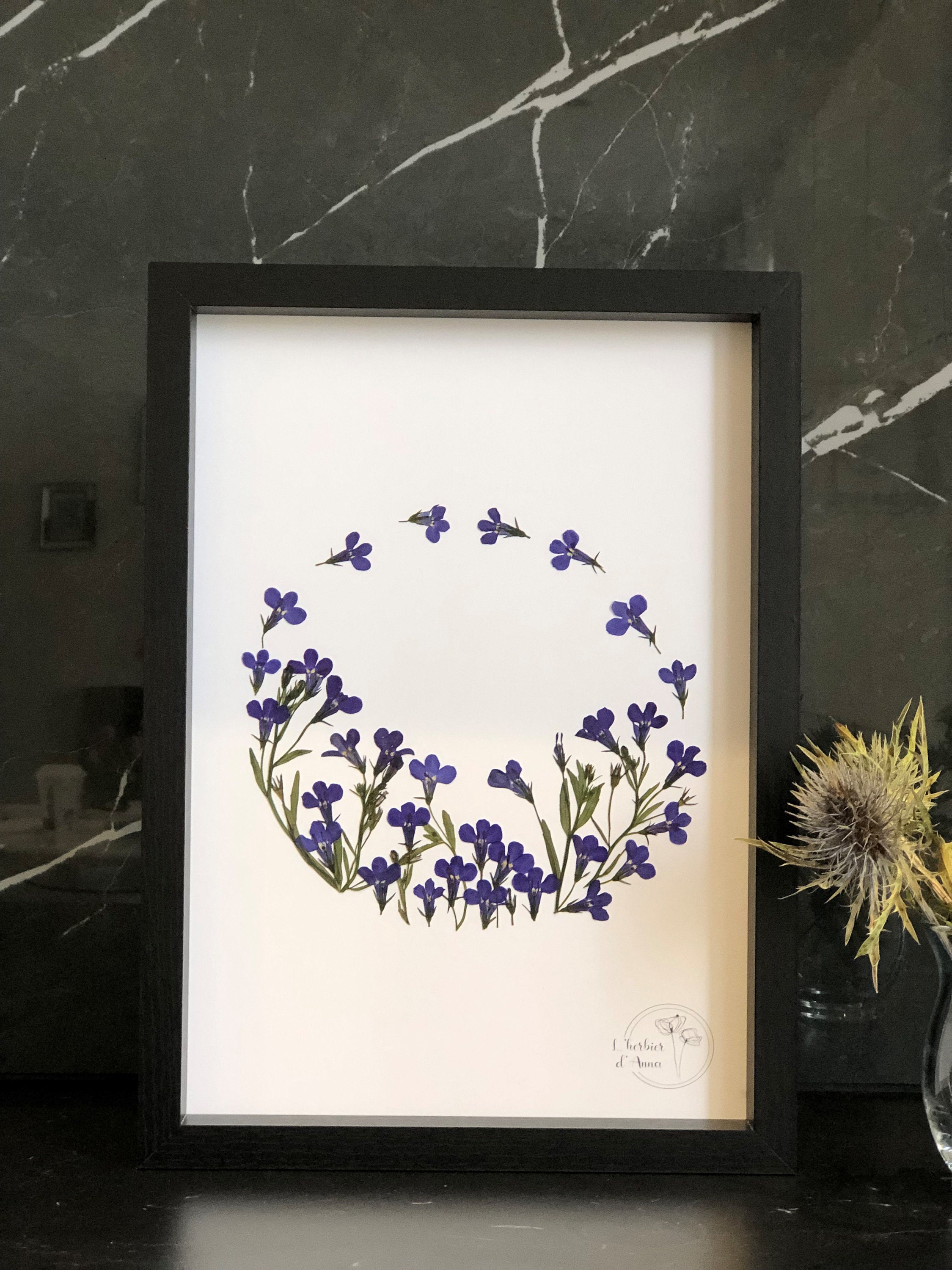 Herbier Fleurs Séchées et Pressée