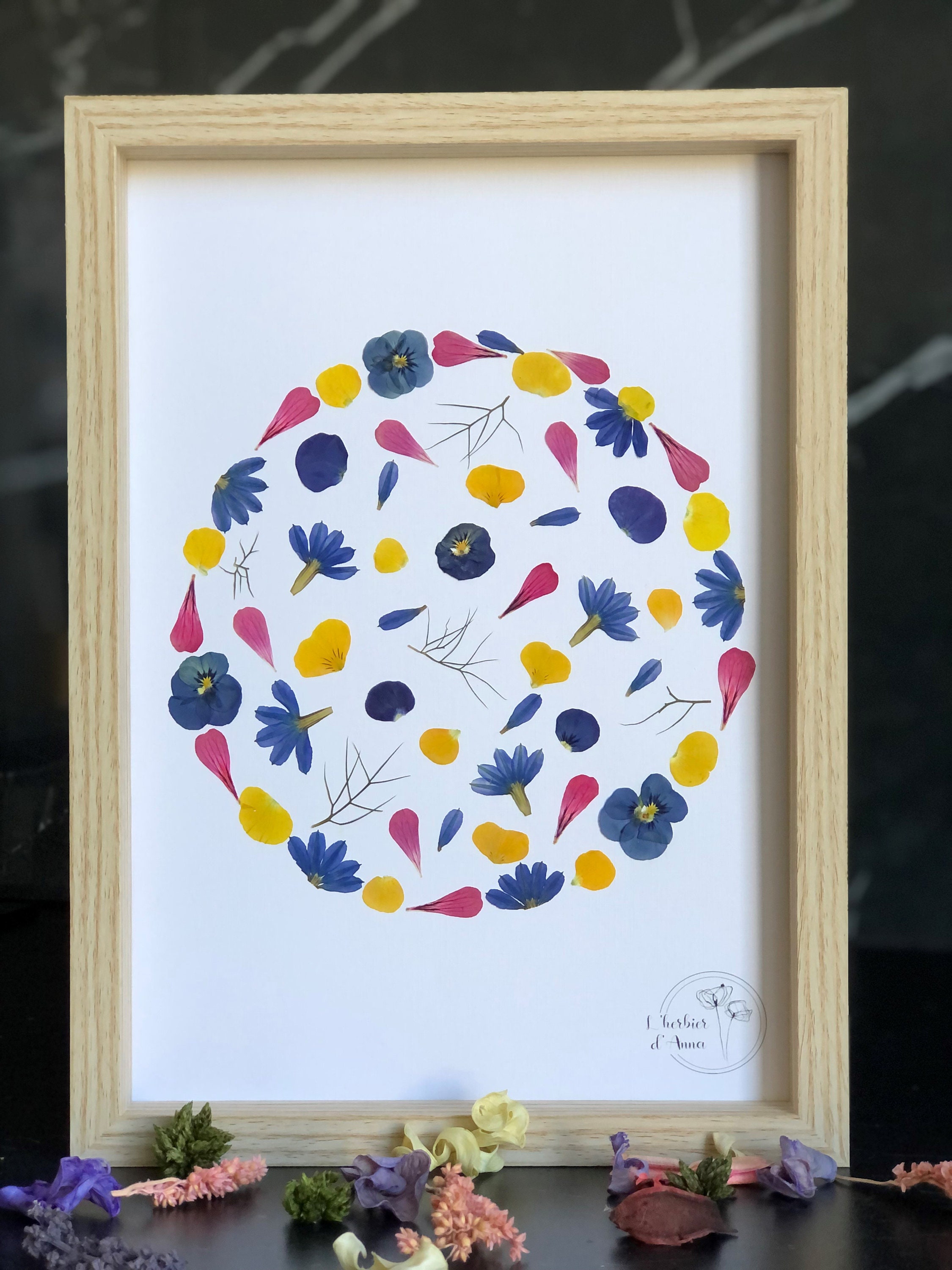 Herbier Fleurs Séchées et Pressée