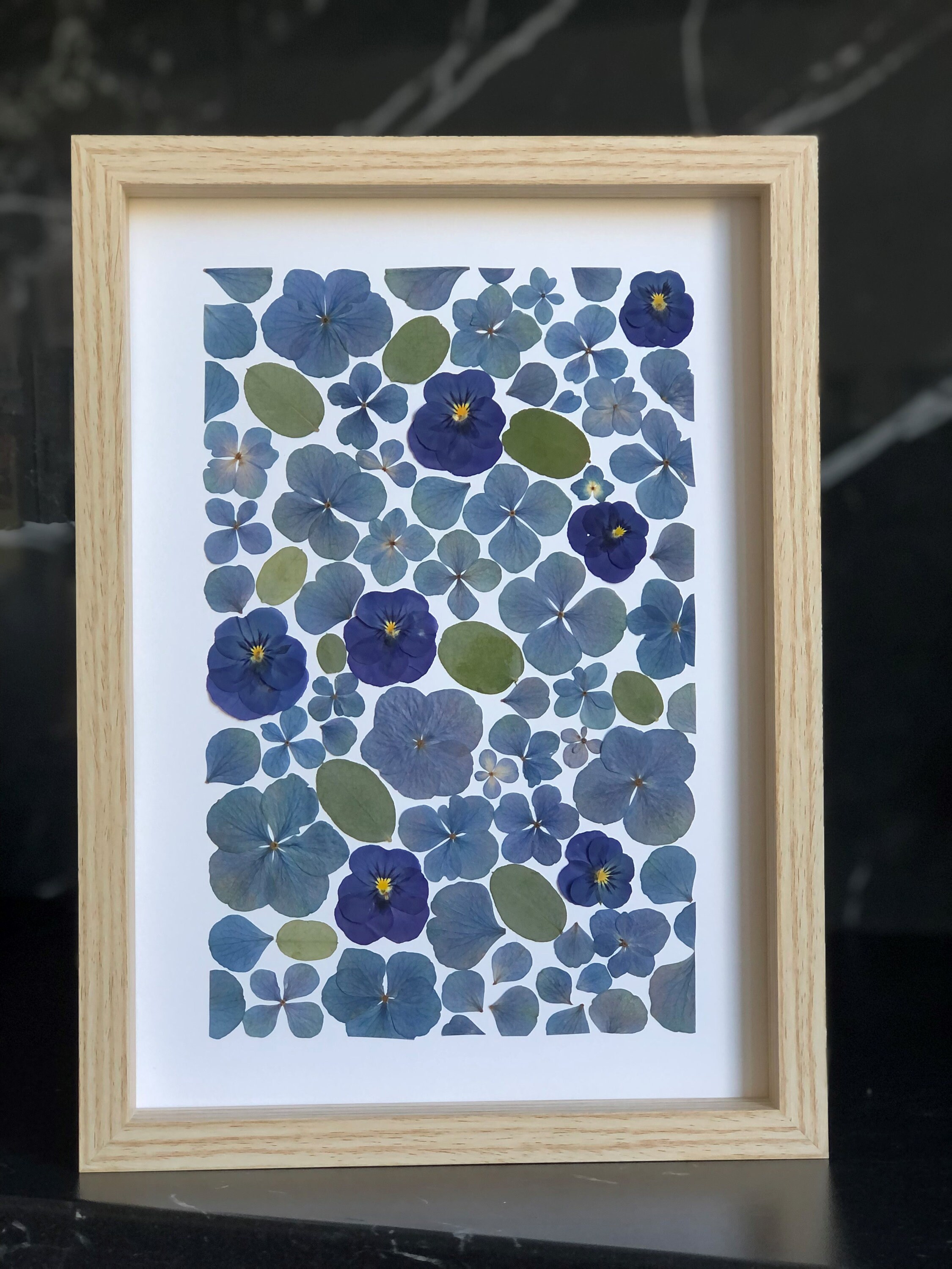 Herbier Fleurs Séchées et Pressée