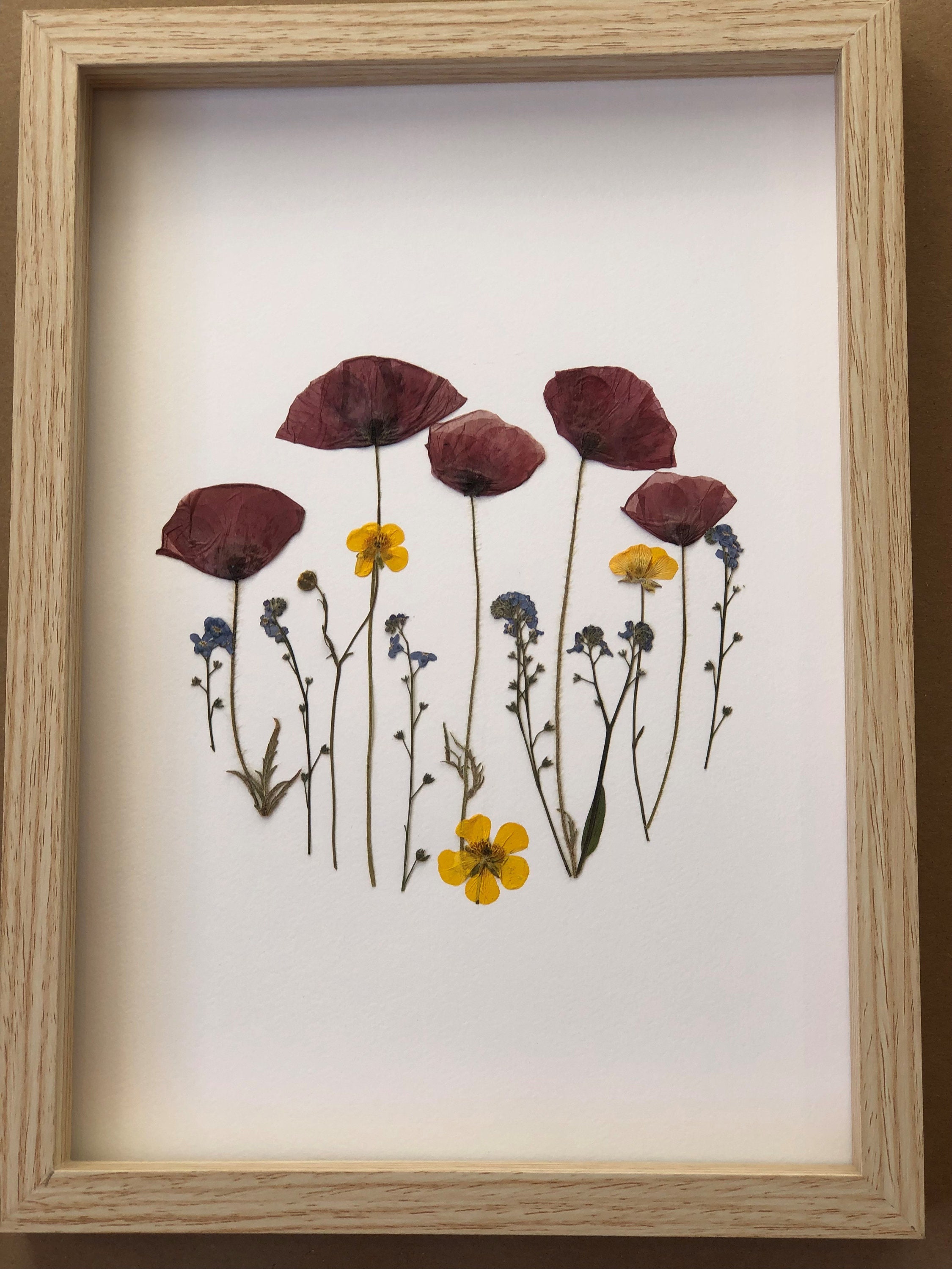 Herbier Fleurs Séchées et Pressée