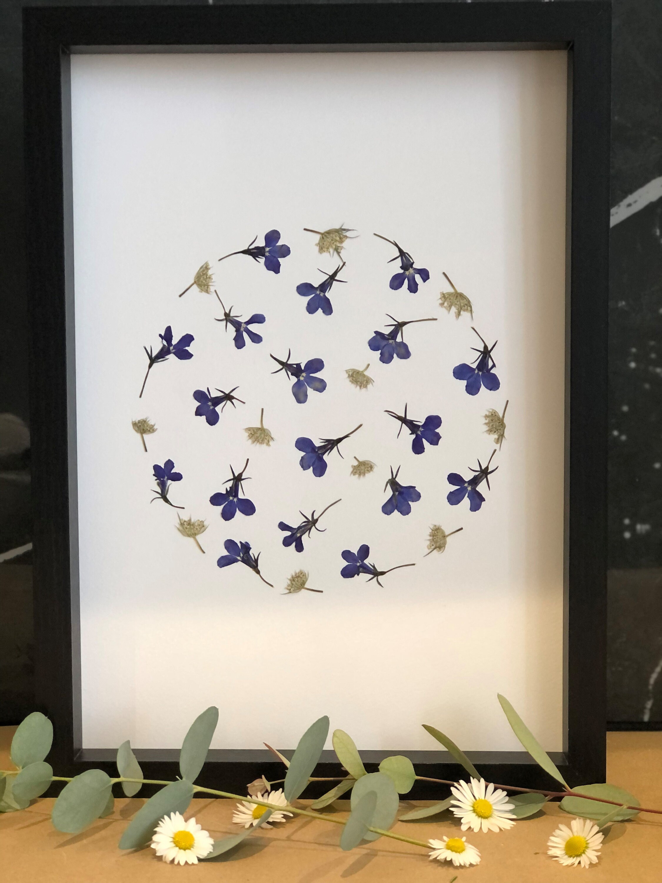 Herbier Fleurs Séchées et Pressée