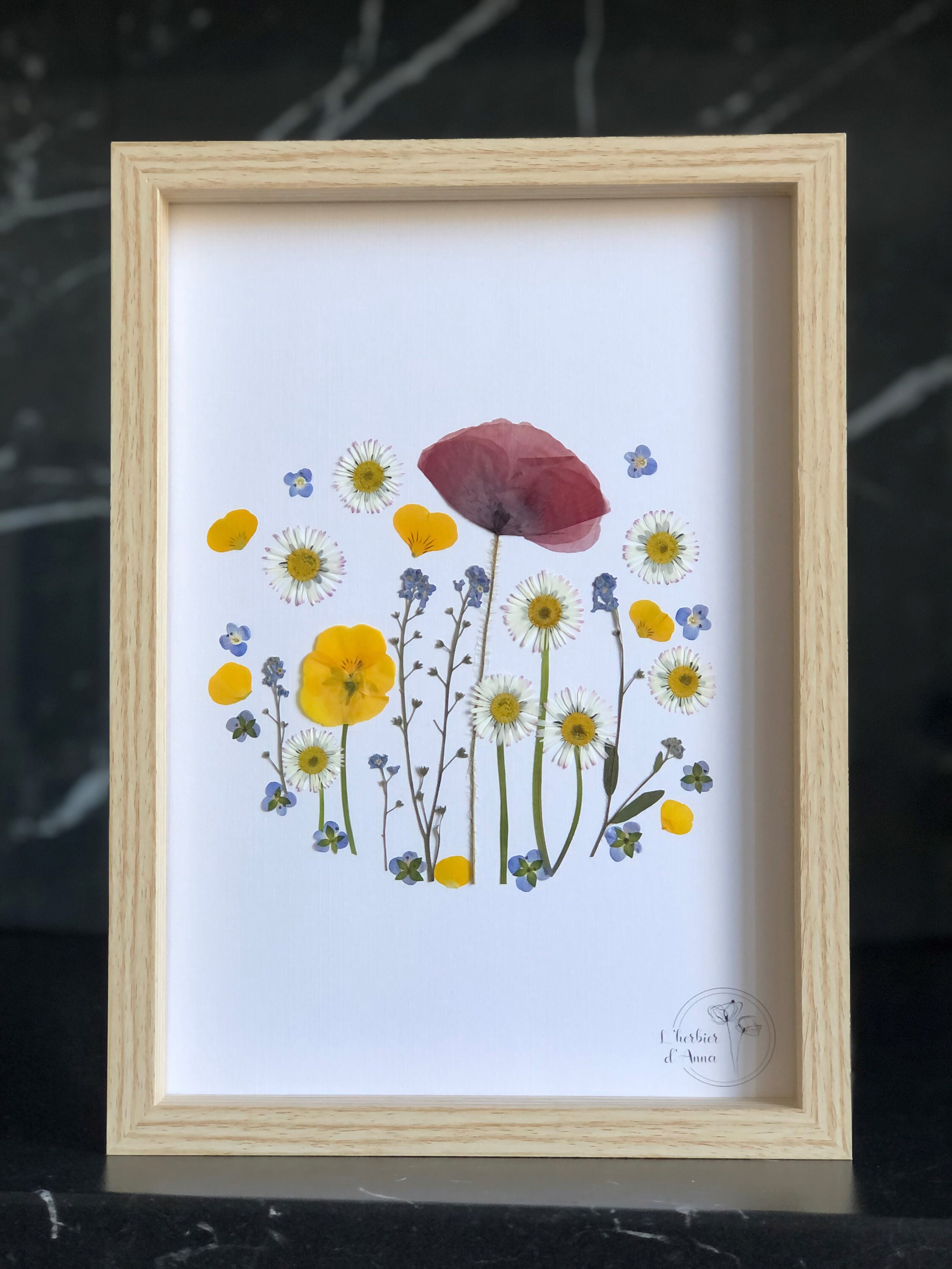 Herbier Fleurs Séchées et Pressée