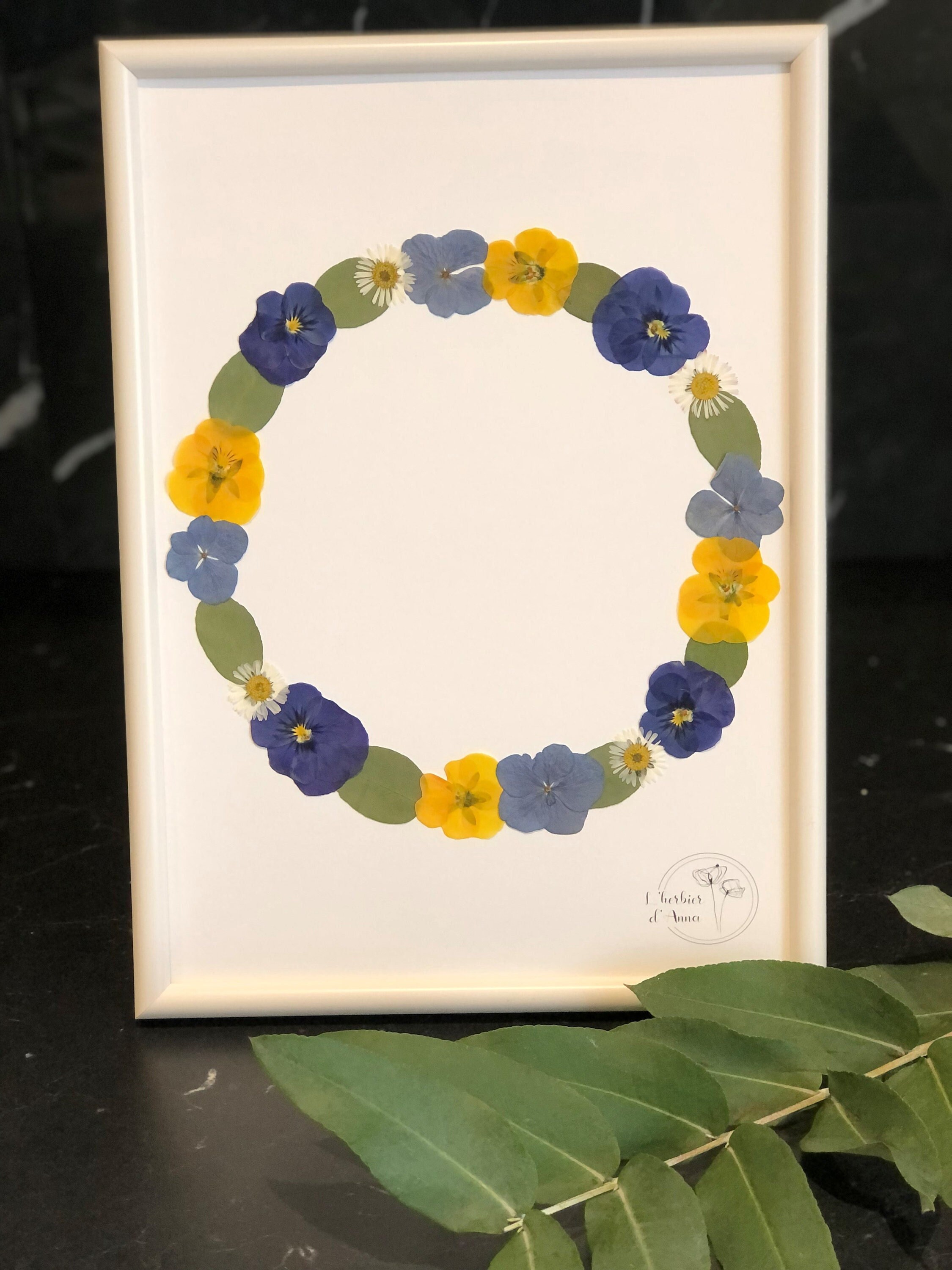 Herbier Fleurs Séchées et Pressée