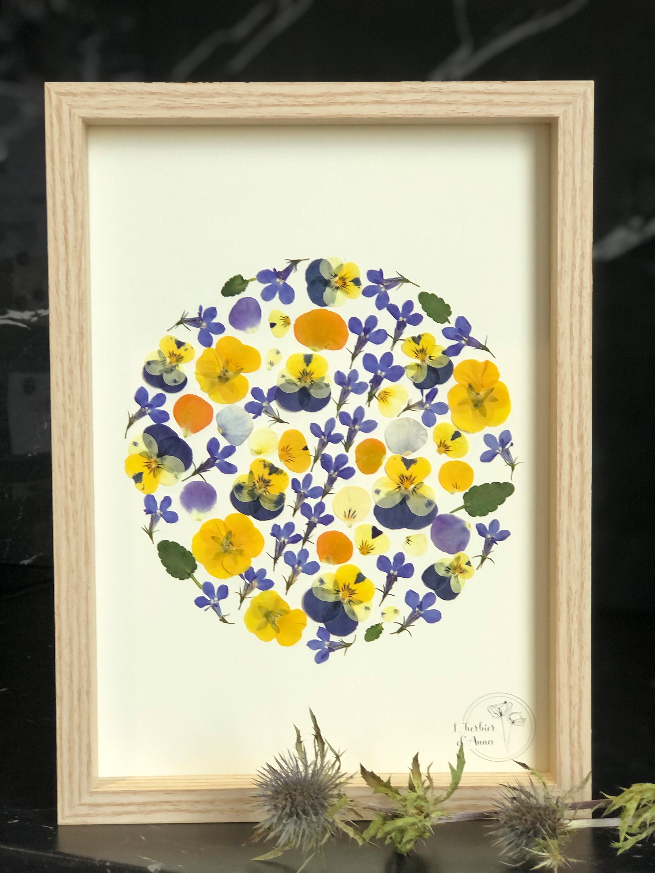 Herbier Fleurs Séchées et Pressée