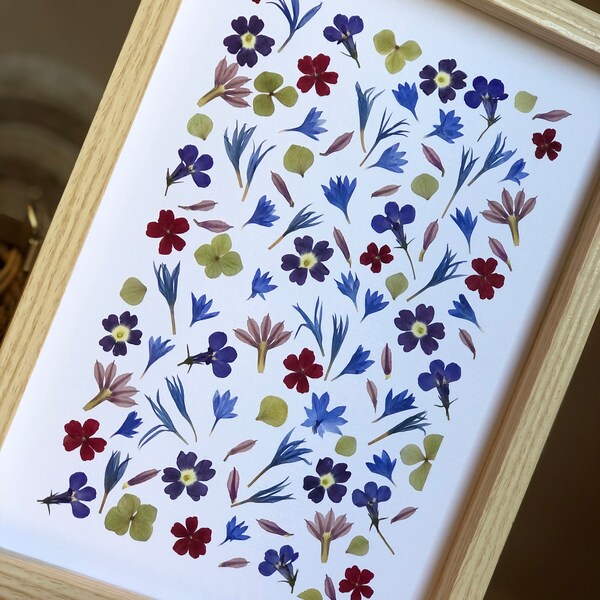 Herbario de flores secas y prensadas.