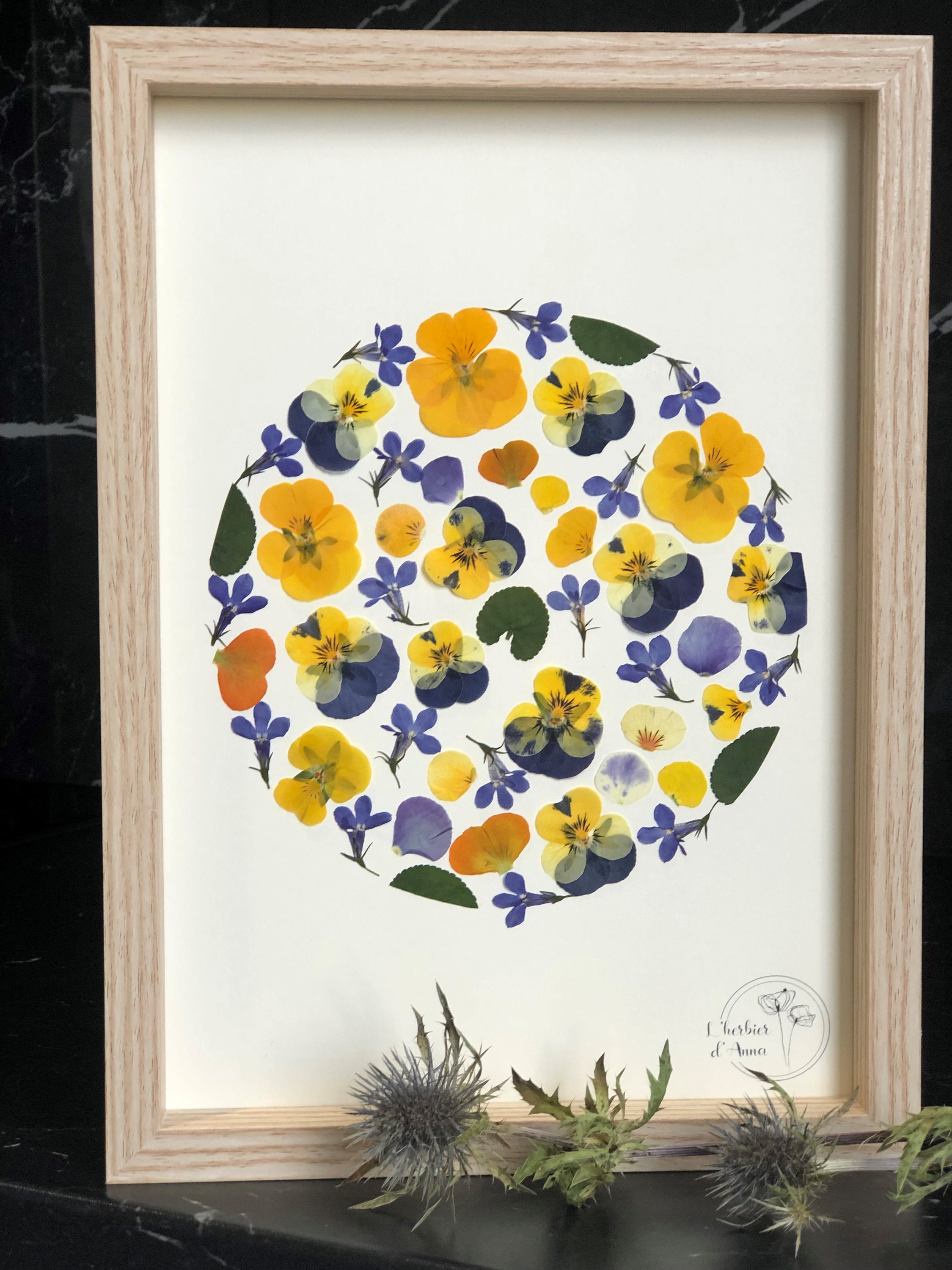 Herbier Fleurs Séchées et Pressée