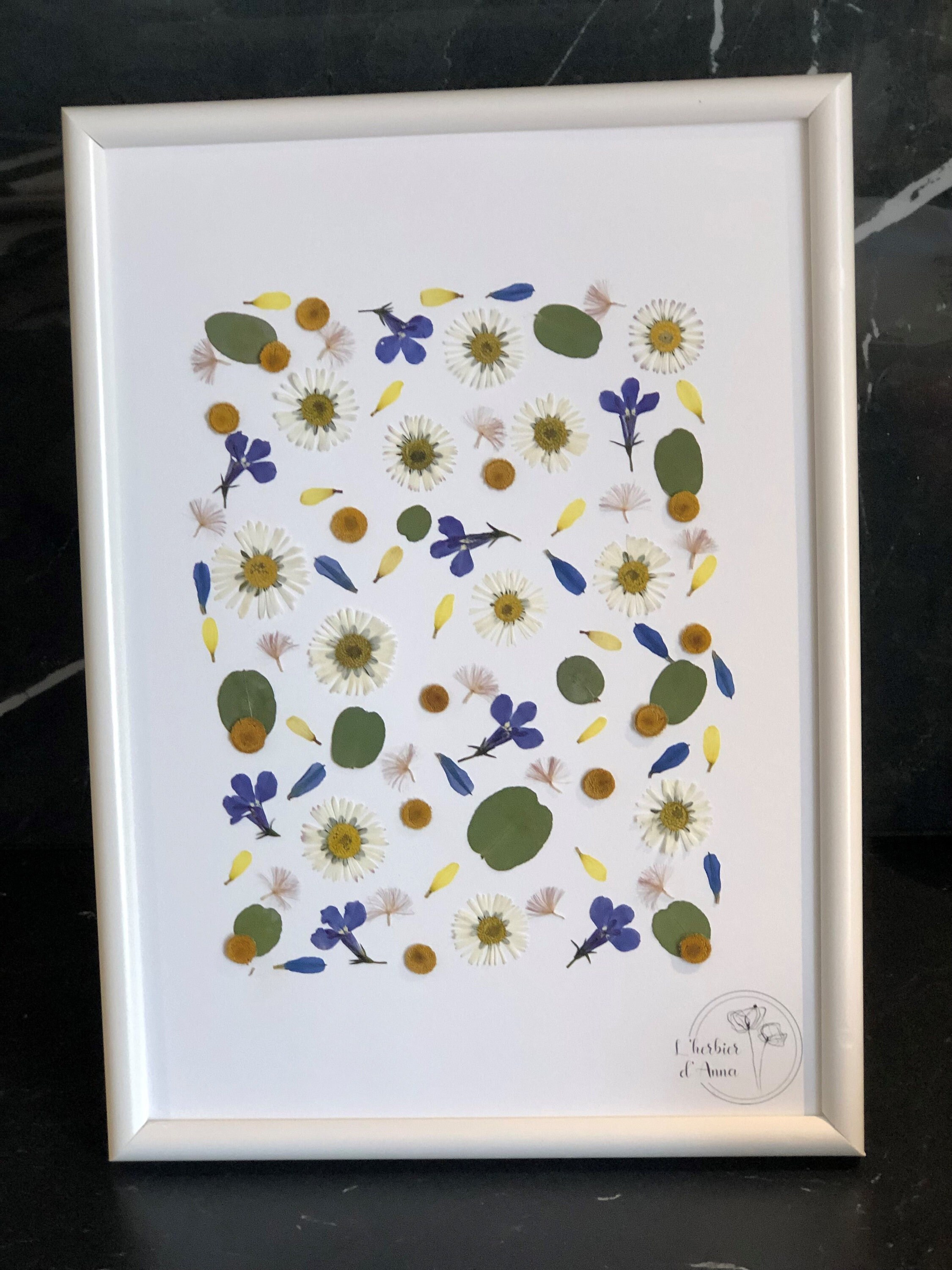 Herbier Fleurs Séchées et Pressée