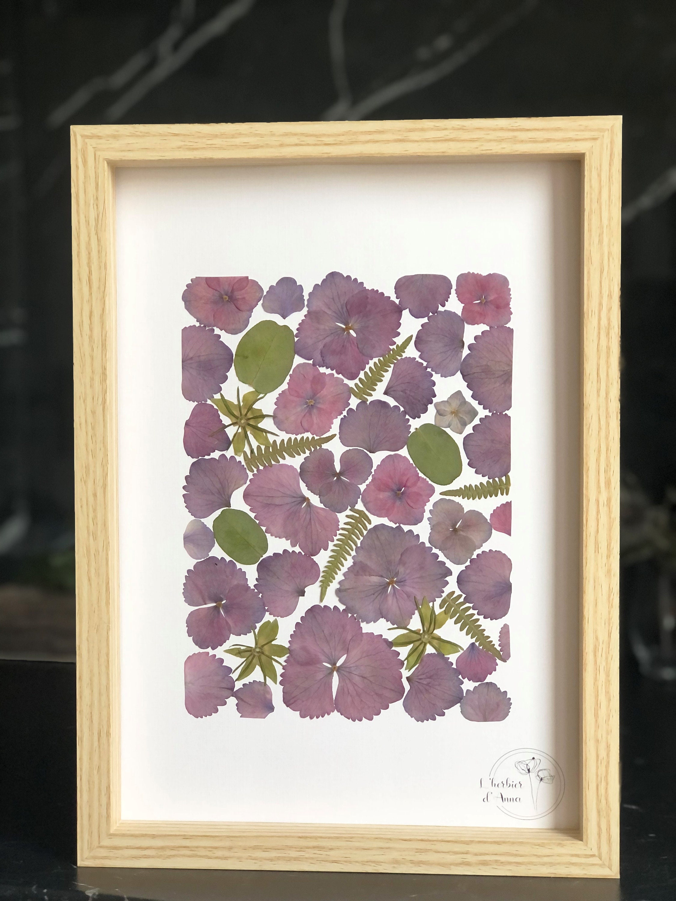 Herbier Fleurs Séchées et Pressée