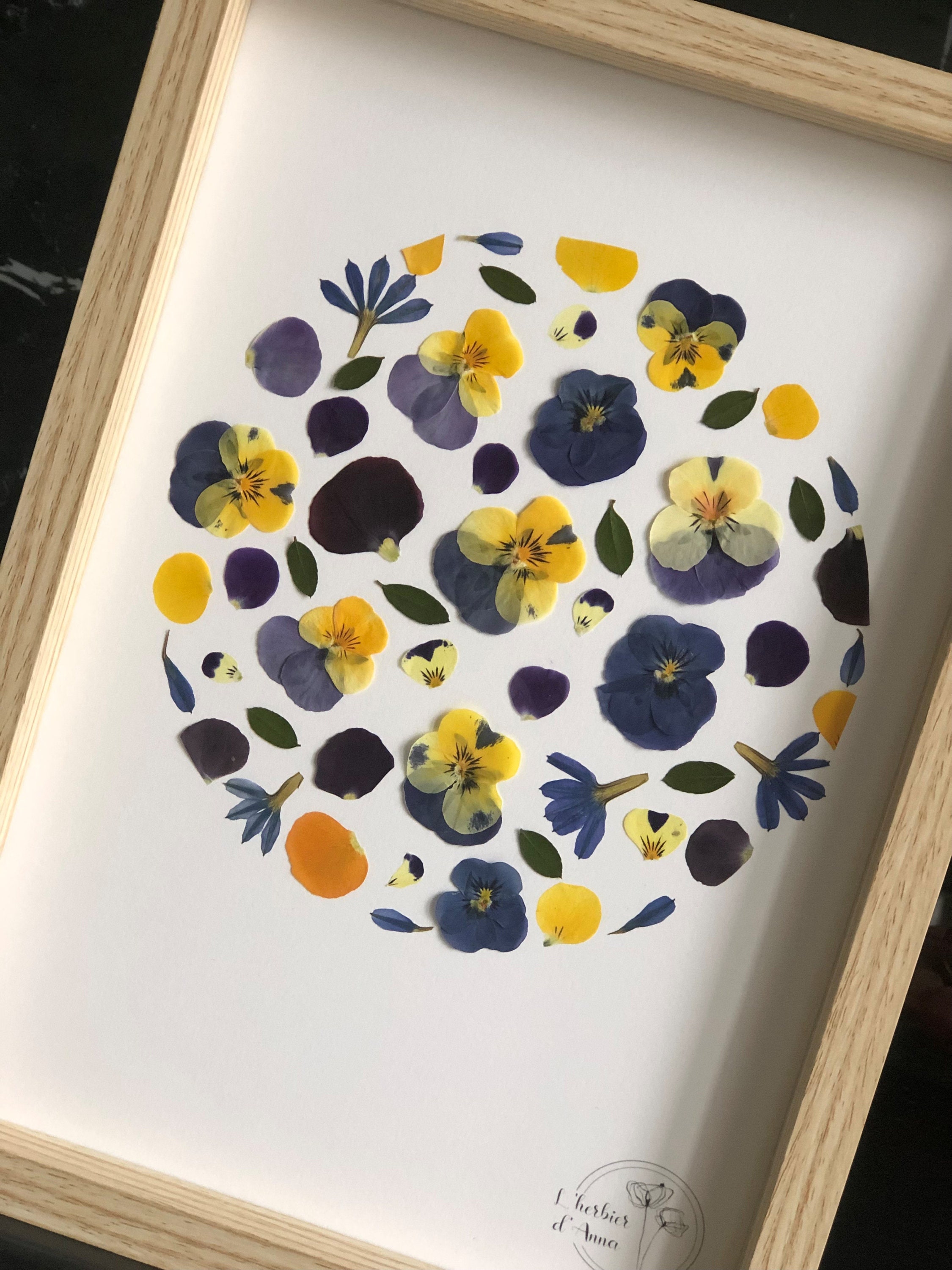 Herbier Fleurs Séchées et Pressée