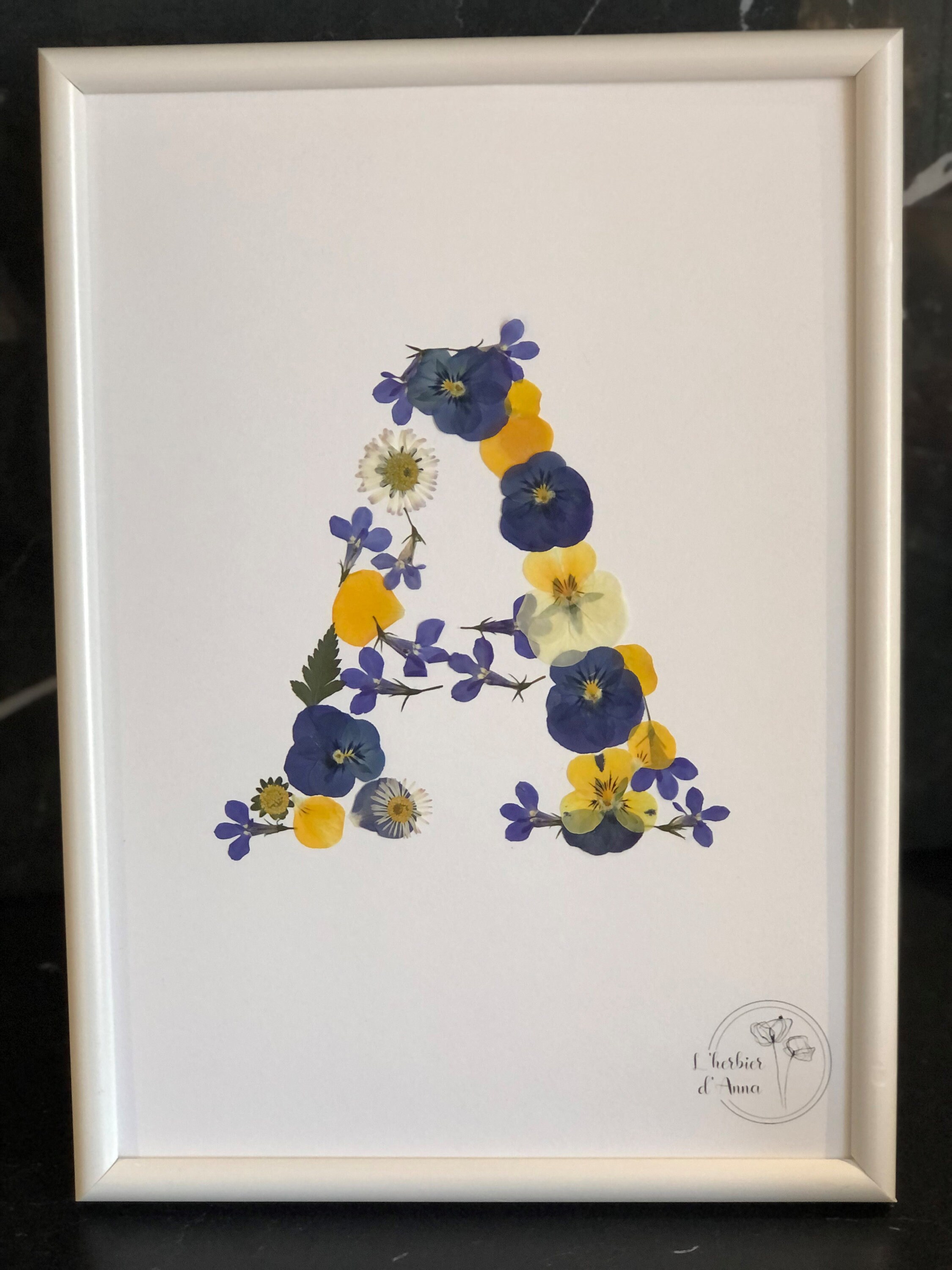 Herbier Fleurs Séchées et Pressée Lettre A