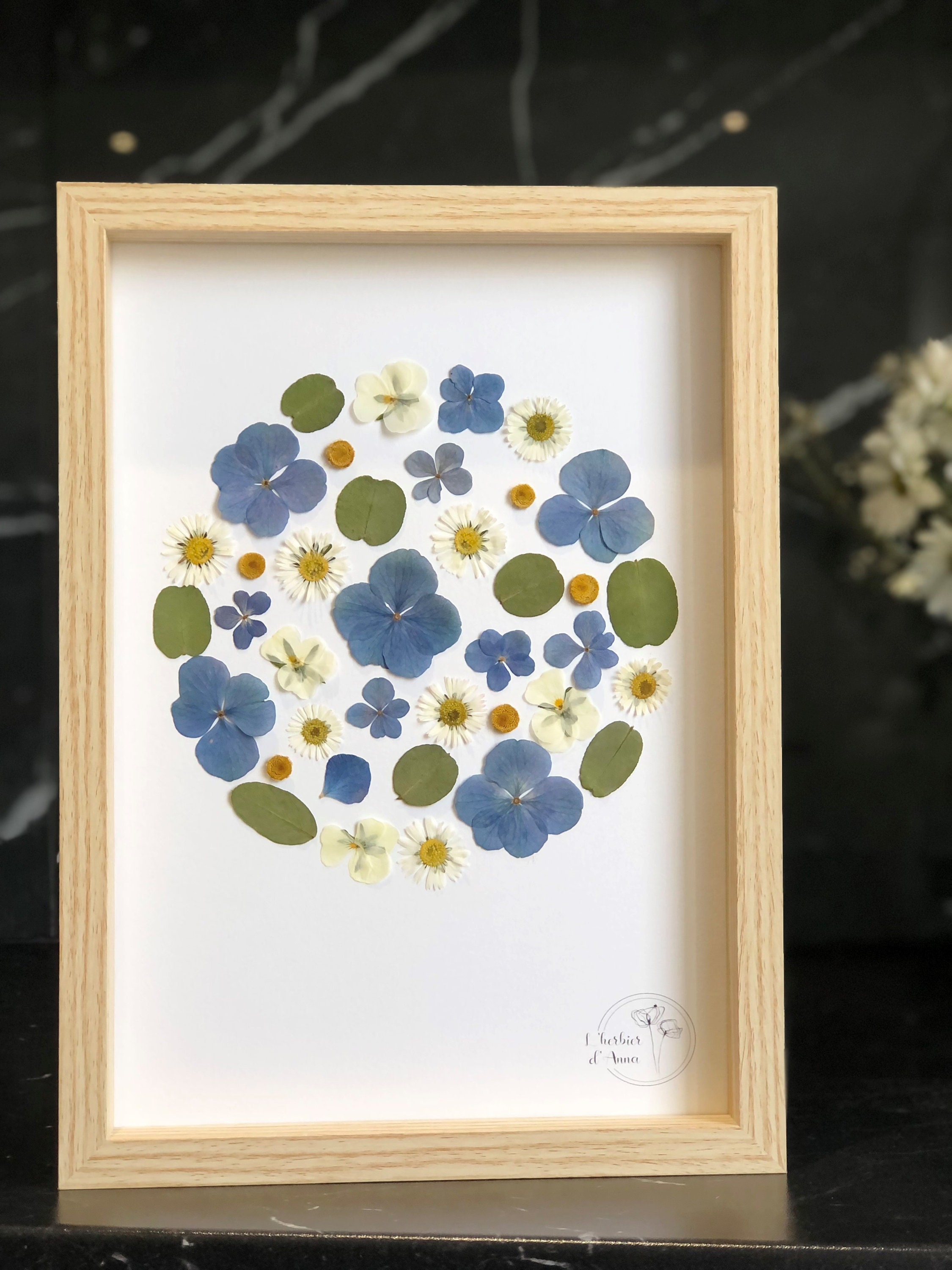 Herbier Fleurs Séchées et Pressée