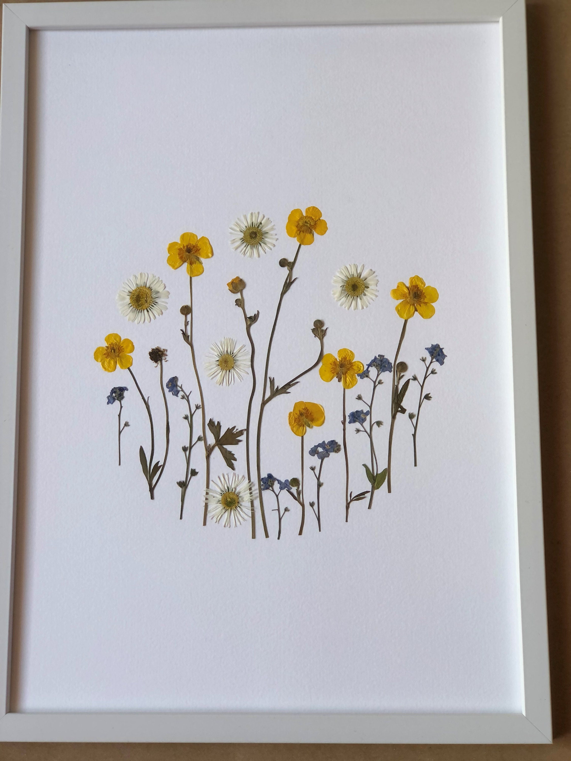 Herbier Fleurs Séchées et Pressée