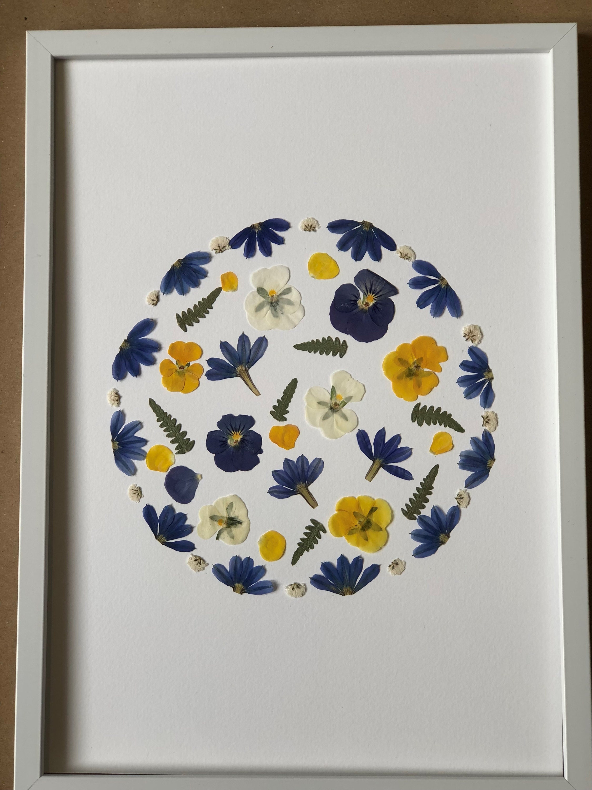 Herbier Fleurs Séchées et Pressée