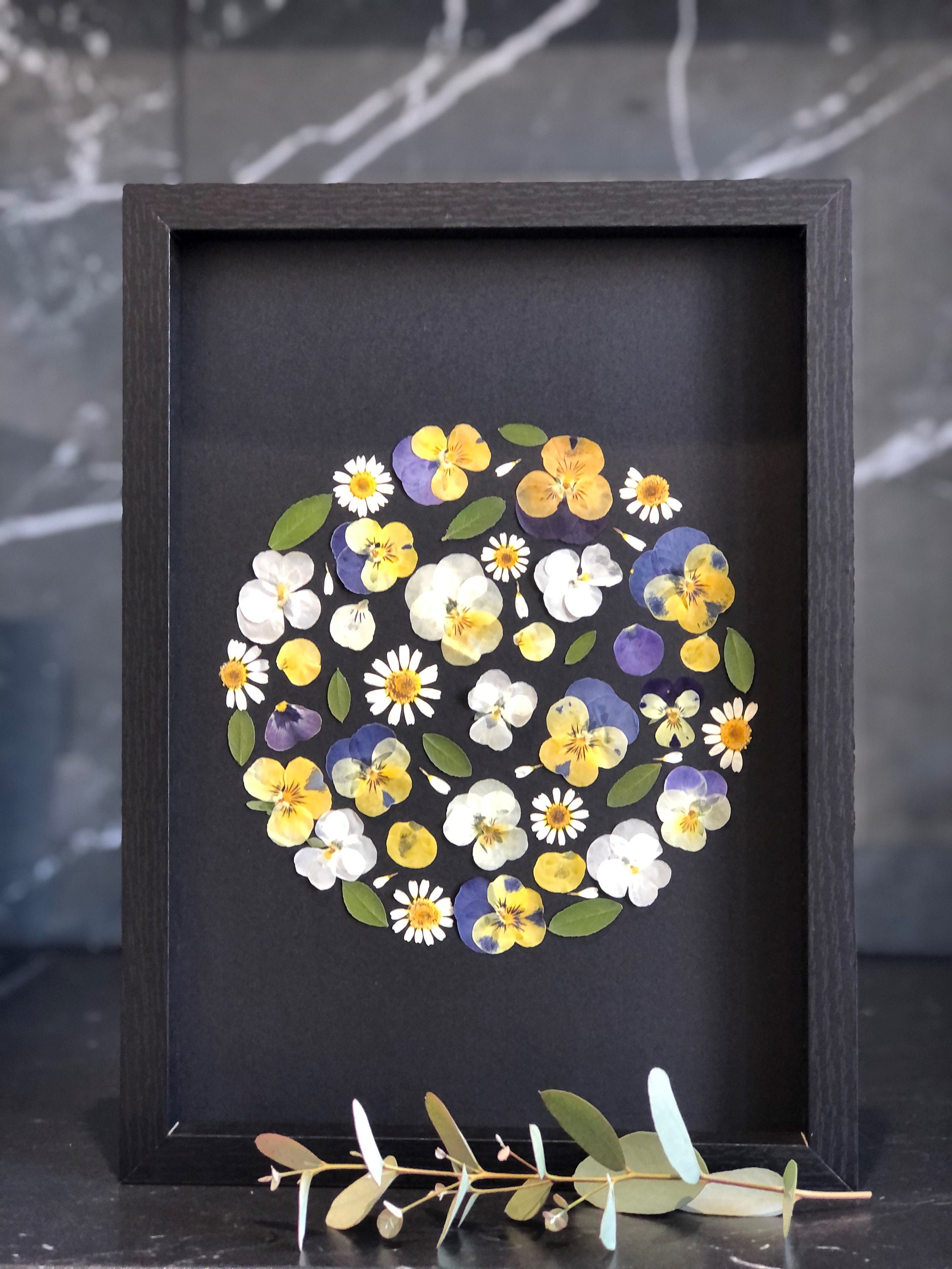 Herbier Fleurs Séchées et Pressée