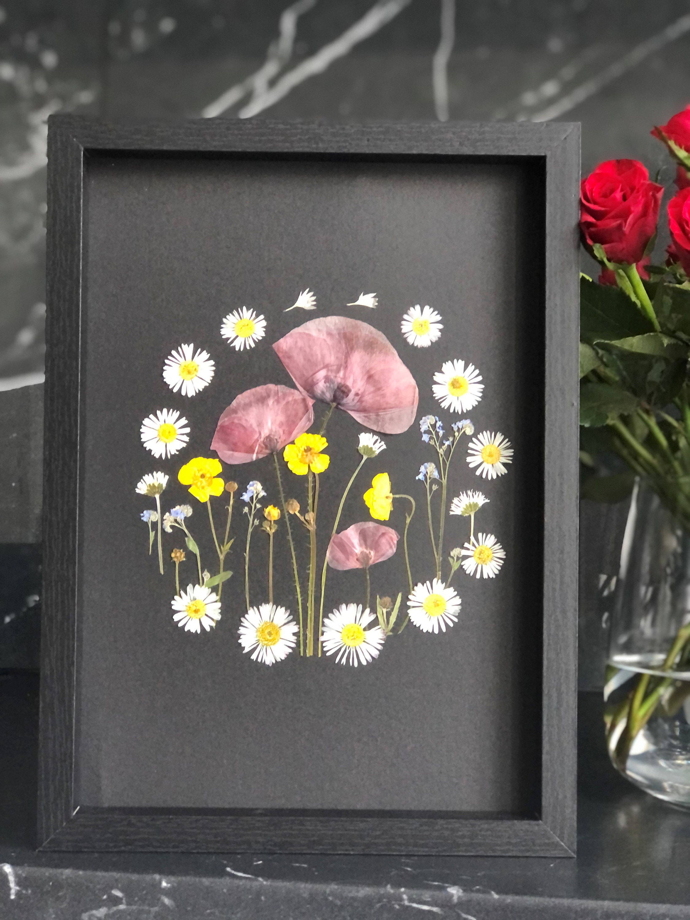 Herbier Fleurs Séchées et Pressée