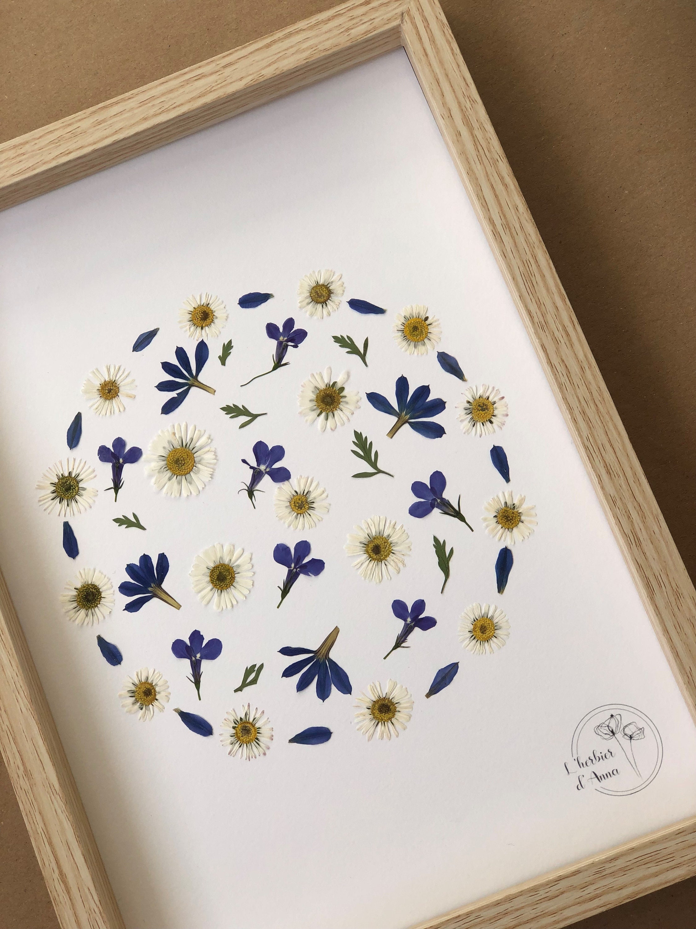 Herbier Fleurs Séchées et Pressée