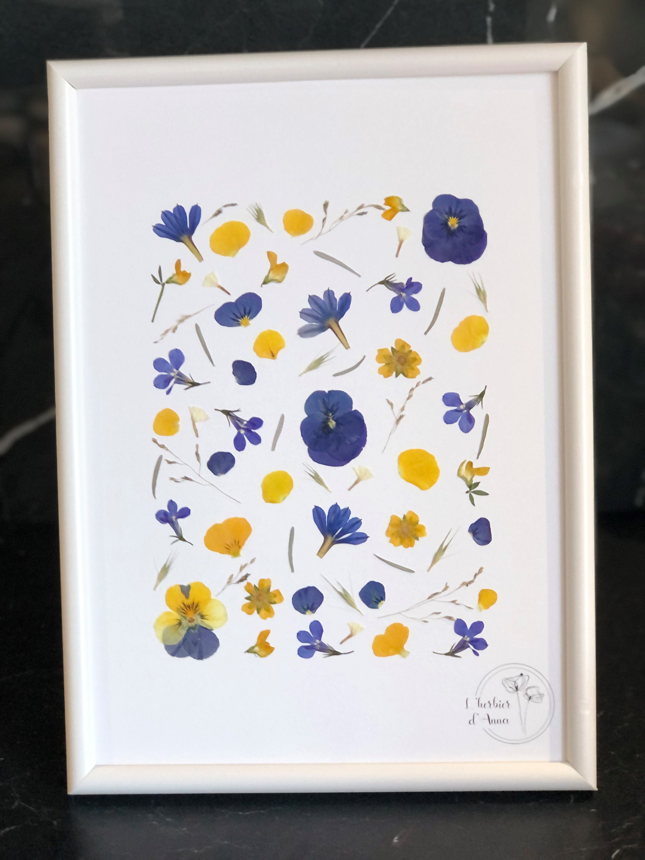 Herbier Fleurs Séchées et Pressée