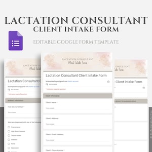 Editable Lactation Consultant Client Intake Form Template, Breastfeeding Support Intake Template,  Editable Lactation Support Google Forms