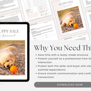 Puppy Sale Contract Template, Editable Puppy Adoption Agreement, Dog Breeder Contract Forms, Puppy Contract of Sale, Canva editable image 9
