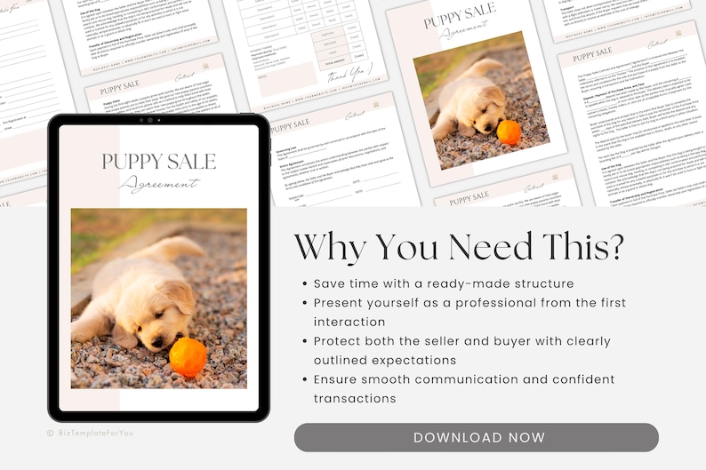 Puppy Sale Contract Template, Editable Puppy Adoption Agreement, Dog Breeder Contract Forms, Puppy Contract of Sale, Canva editable image 9
