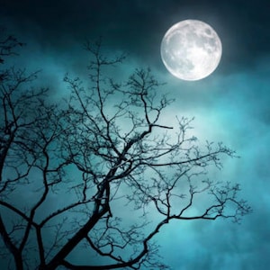 Istikhara: Spiritual Guidance Reading from the Unseen Realm - Islamic Divination and Decision-Making