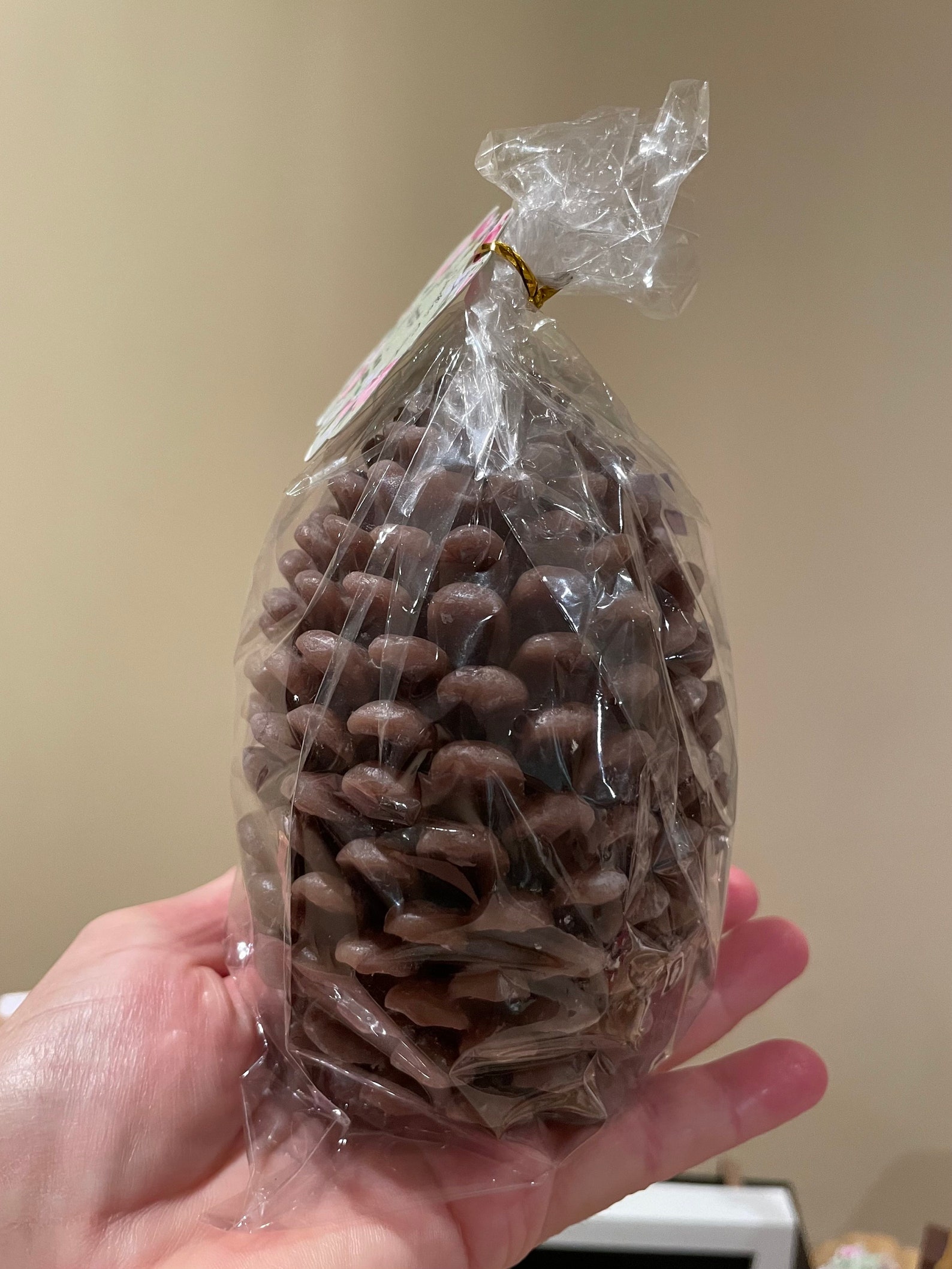 Large Beeswax Pine Cone Candle - Etsy