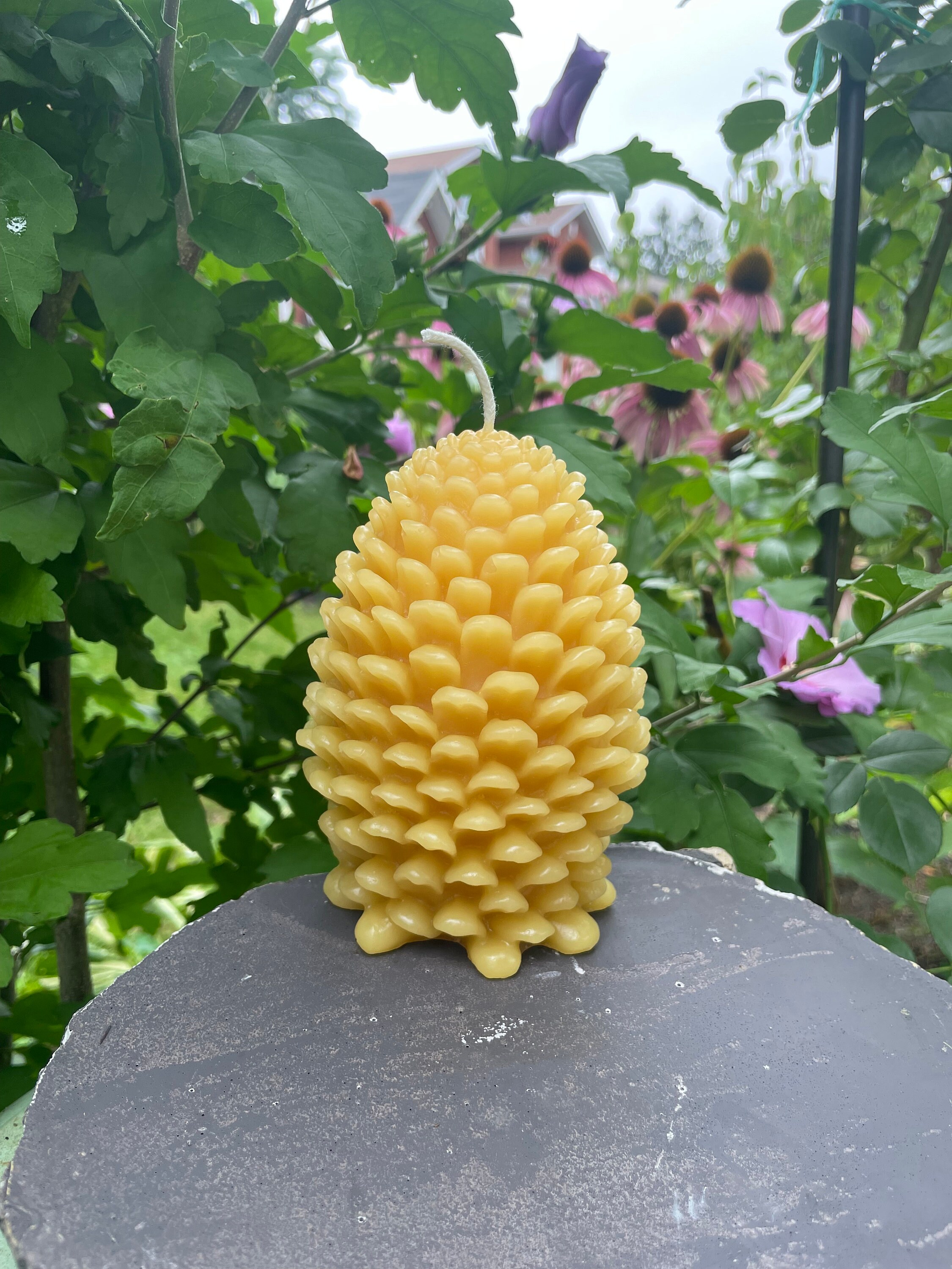 Large Beeswax Pine Cone Candle - Etsy