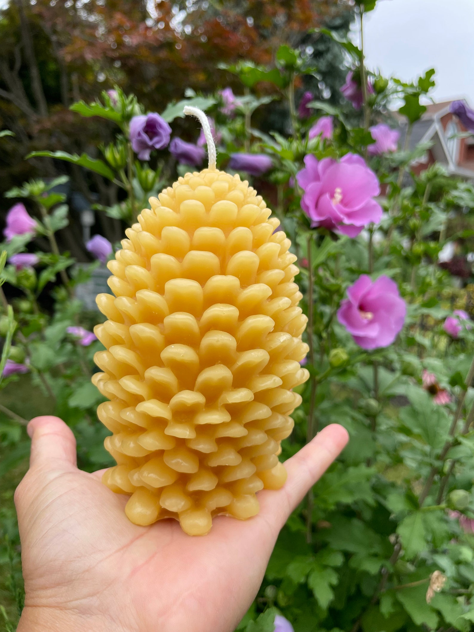 Large Beeswax Pine Cone Candle - Etsy