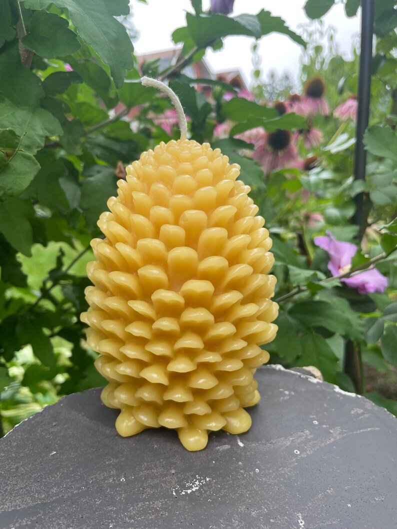 Large Beeswax Pine Cone Candle - Etsy